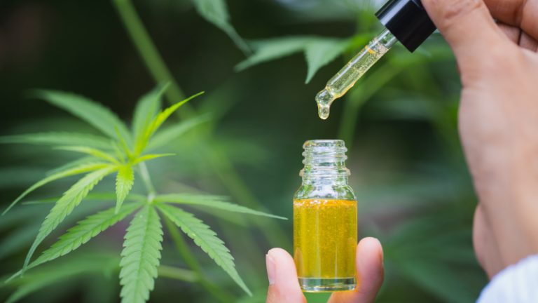 Warum Bio wichtig ist: Vorteile von CBD-zertifizierten Produkten