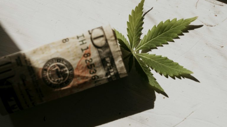Verpasste Milliarden – das wirtschaftliche Potenzial von Cannabis-Kommerzialisierung in Deutschland